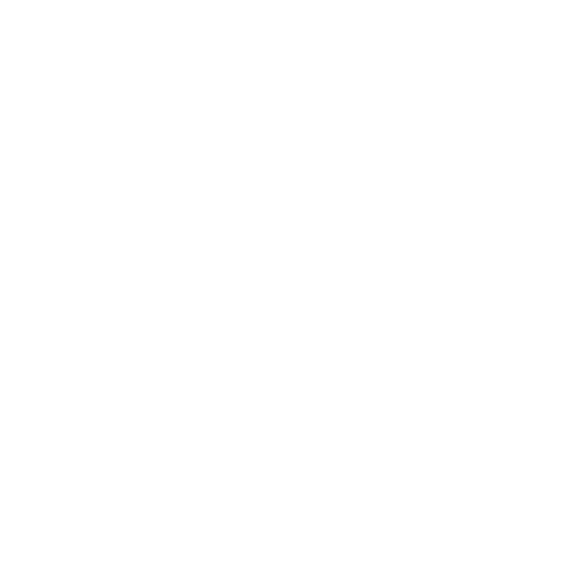 NGO Partnership & Project Coordination